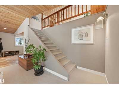 House 41