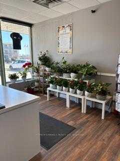 Pic_of_house