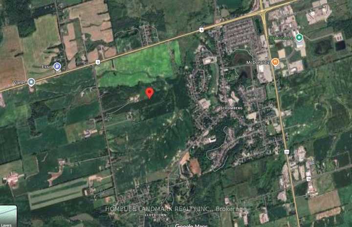 17305 10th  Concession,  N13628920, King,  for sale , Faye Wang, HomeLife Landmark Realty Inc., Brokerage